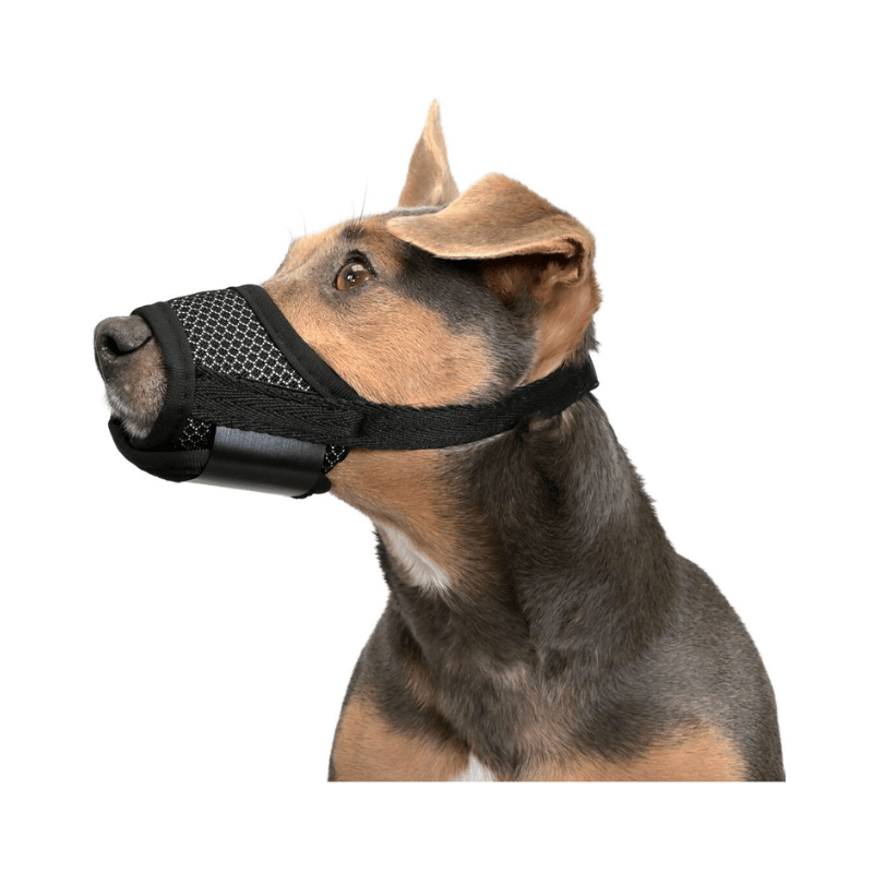 Show Tech Comfort Güvenli Köpek Ağızlığı Medium