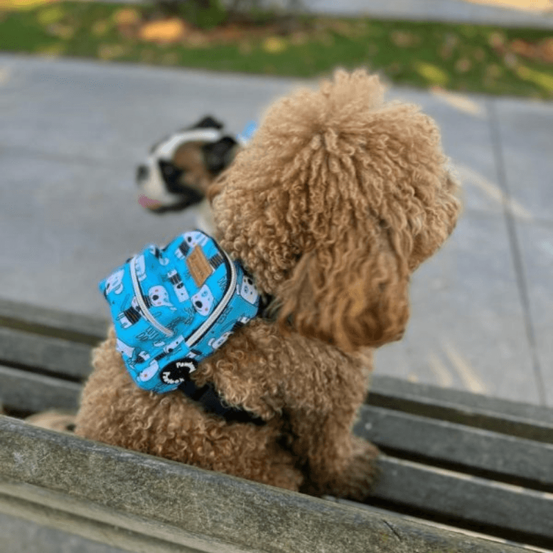 Pawlook Street Smart Köpek Sırt Çantası ve Göğüs Tasması Cute