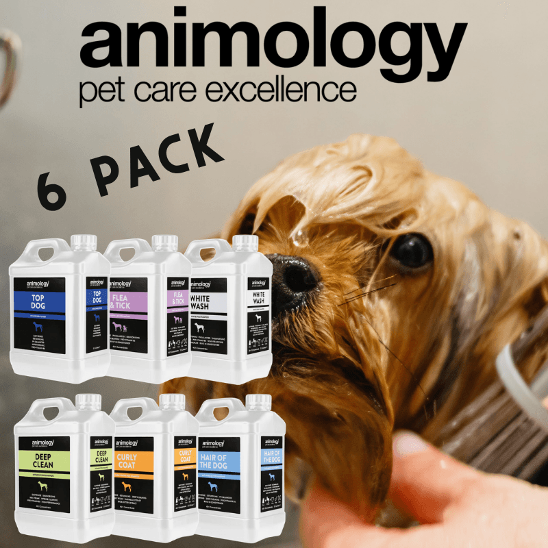 Animology 6 Pack Konsantre Fonksiyonel Bakım ve Şampuan Seti