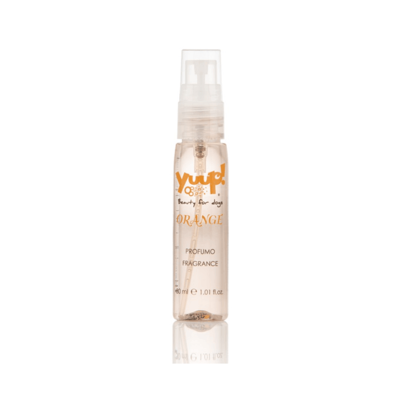 YUUP! Home Renkli Stil Parfüm 30 mL (Orange)