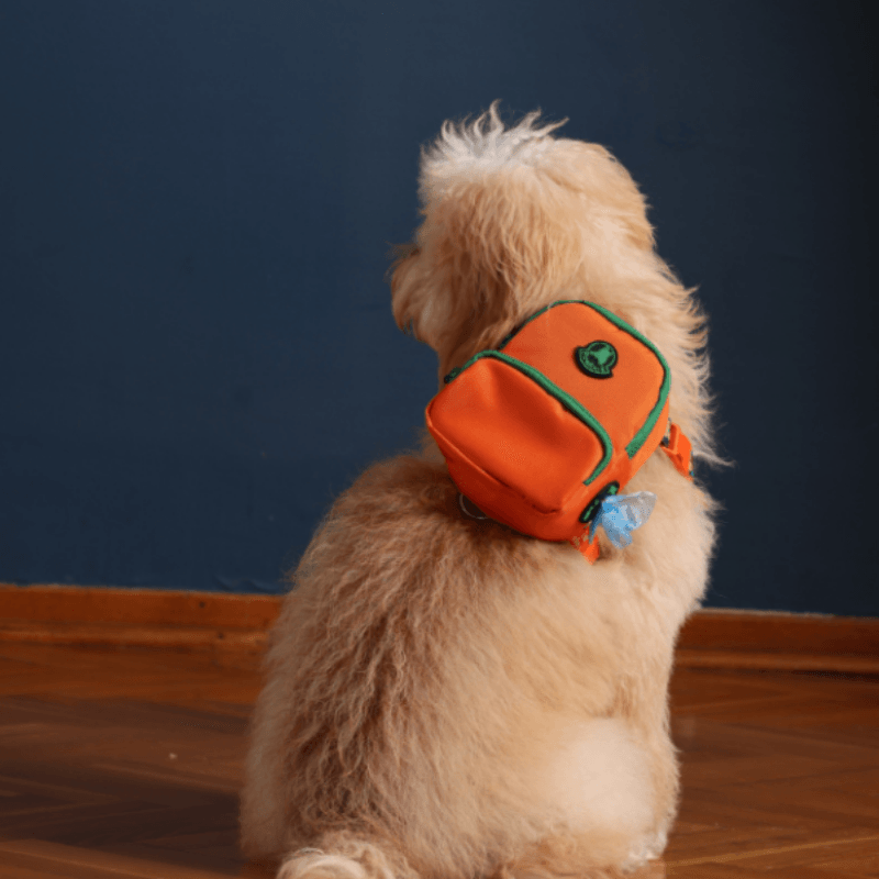 Pawlook Gimme Five Köpek Sırt Çantası ve Göğüs Tasması Orange