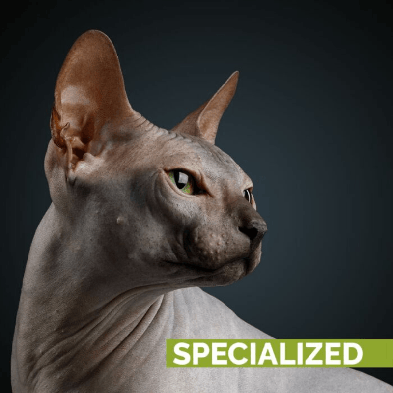 Show Tech+ Skinsational Tüysüz Kedi ve Köpek Cildi İçin Peeling Kremi 200 ml