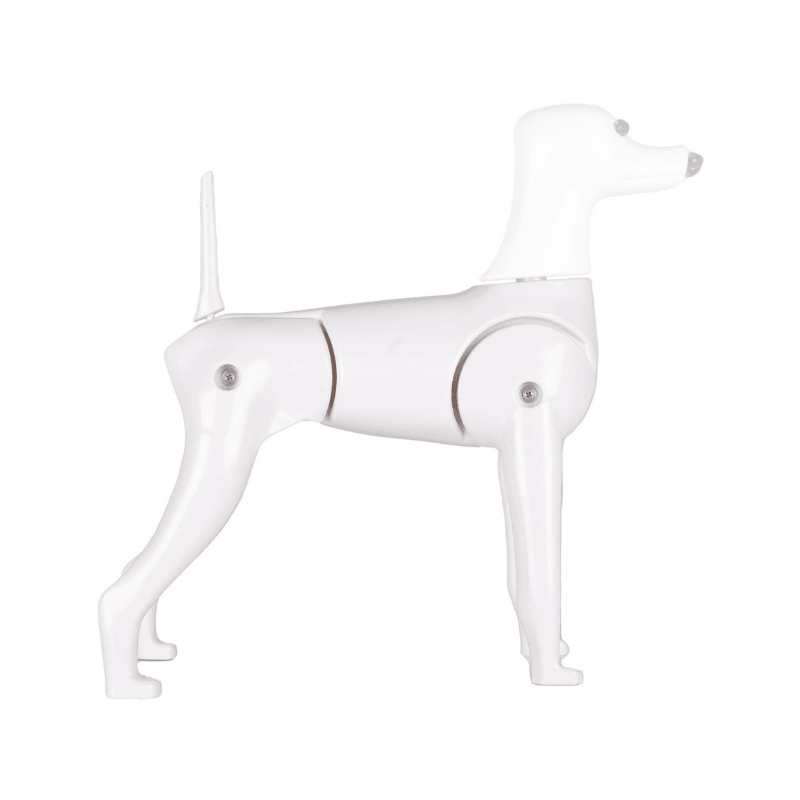 Starzclub Model Köpek Eğitim Mankeni (Commercial Tarz Burun)