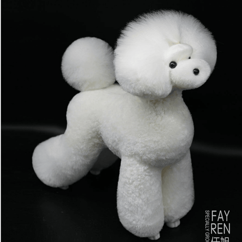 Starzclub Asya Tarzı Poodle Eğitim Mankeni Tüyü (Manken Hariç)