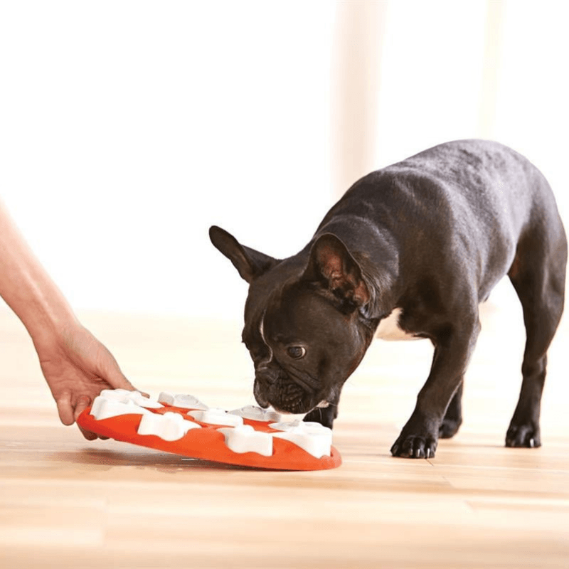 Outward Hound Dog Smart İnteractive Puzzle Köpek Zeka Oyuncağı