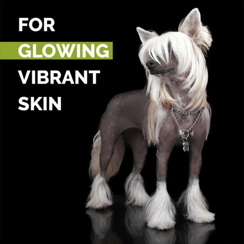 Show Tech+ Skinsational Tüysüz Kedi ve Köpek Cildi İçin Peeling Kremi 200 ml