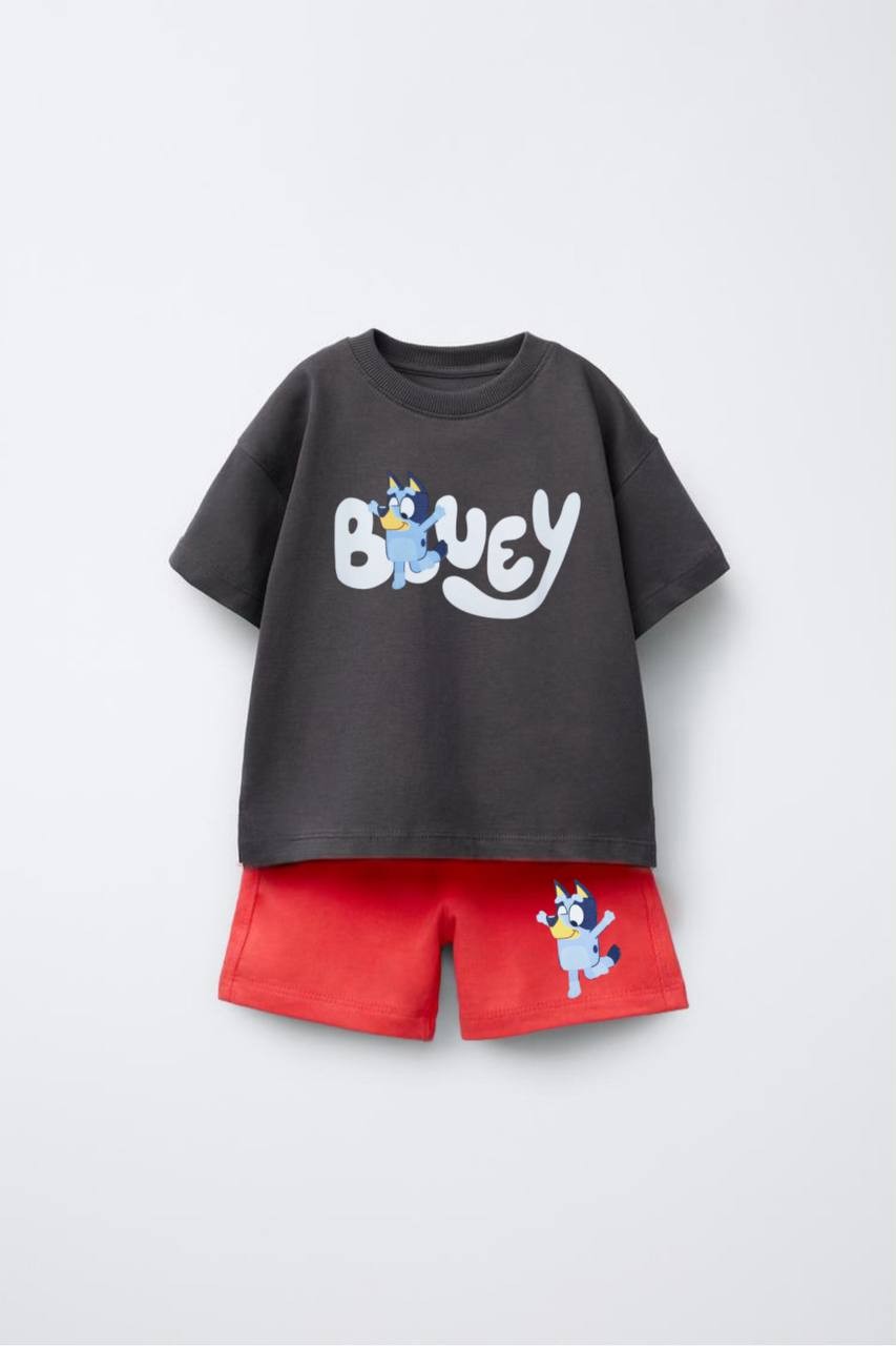 BLUEY TAKIM | SET