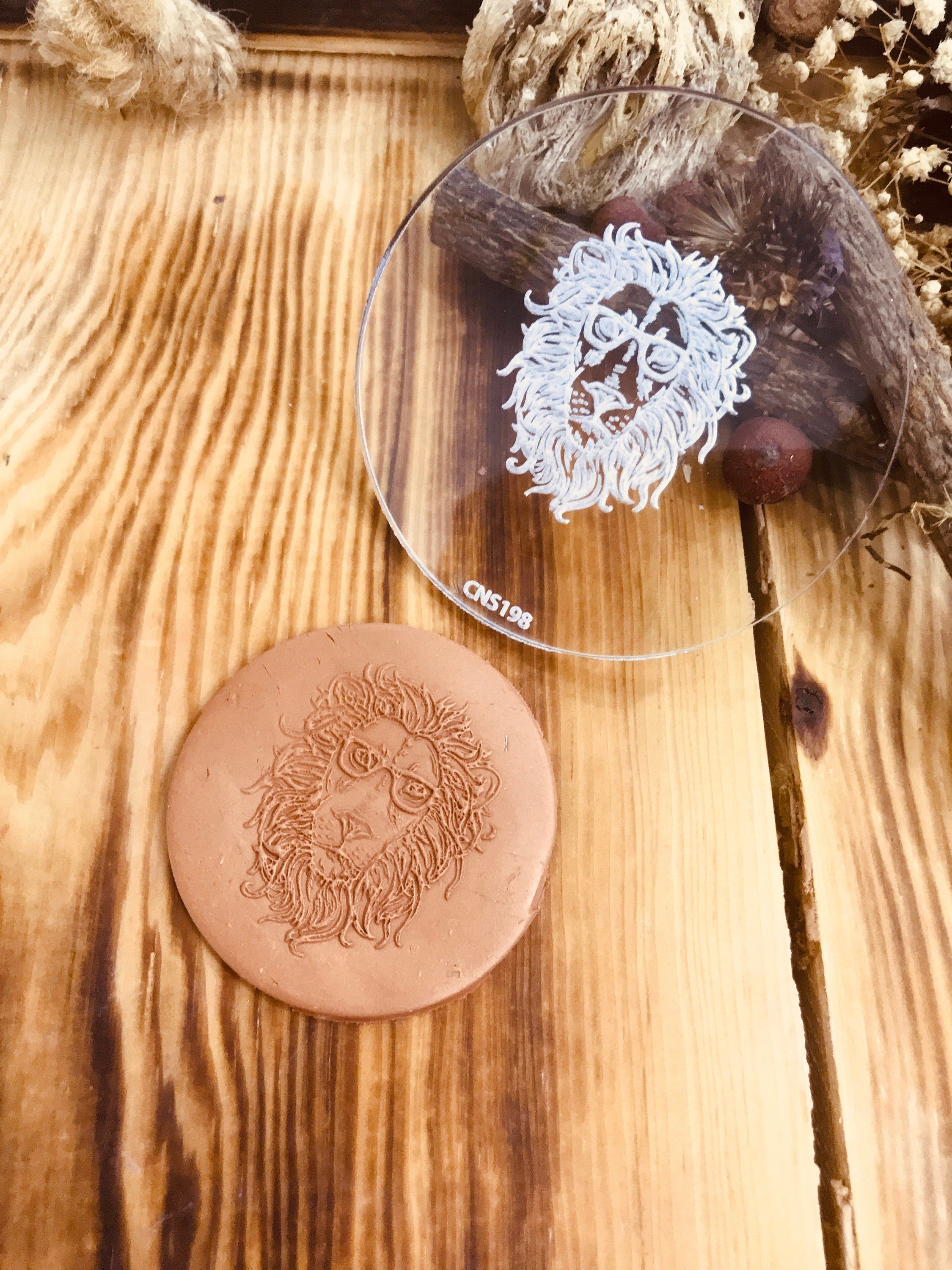 Lion Pattern Texture Mat, Debossing Stamp, Acrylic clay texture tool, Texture Sheet,Ceramic Supplies, Texture Plate