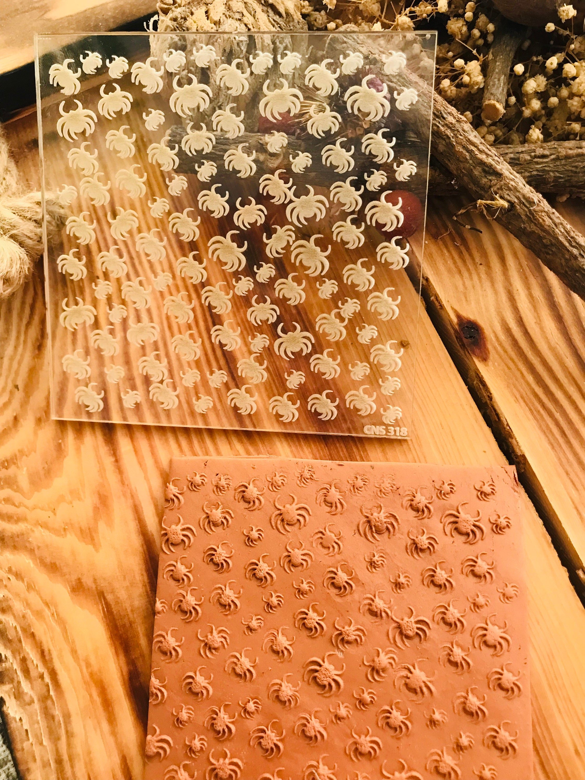 Spider Acrylic Embossing Stamp For Polymer Clay, Ceramic ,Fondant Stamp, Cookie Embosser, Cookie Stamp, Acrylic texture tool