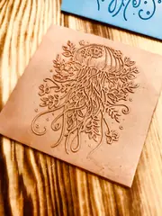 Jellyfish