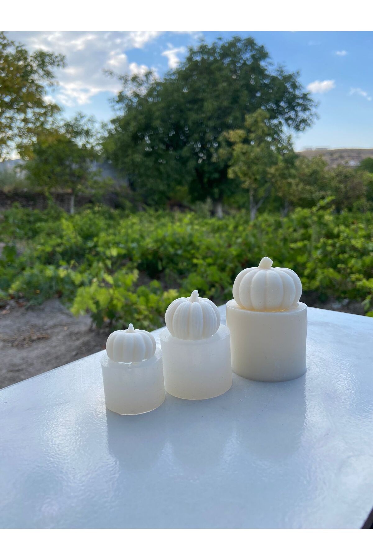 Kabak Silikon Kalıbı Set  3'lü