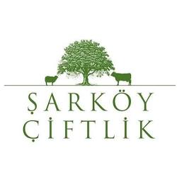 Votka Fiyatları 2025 – Absolut, Smirnoff, İstanblue, Gilbeys ve Tüm Markalar