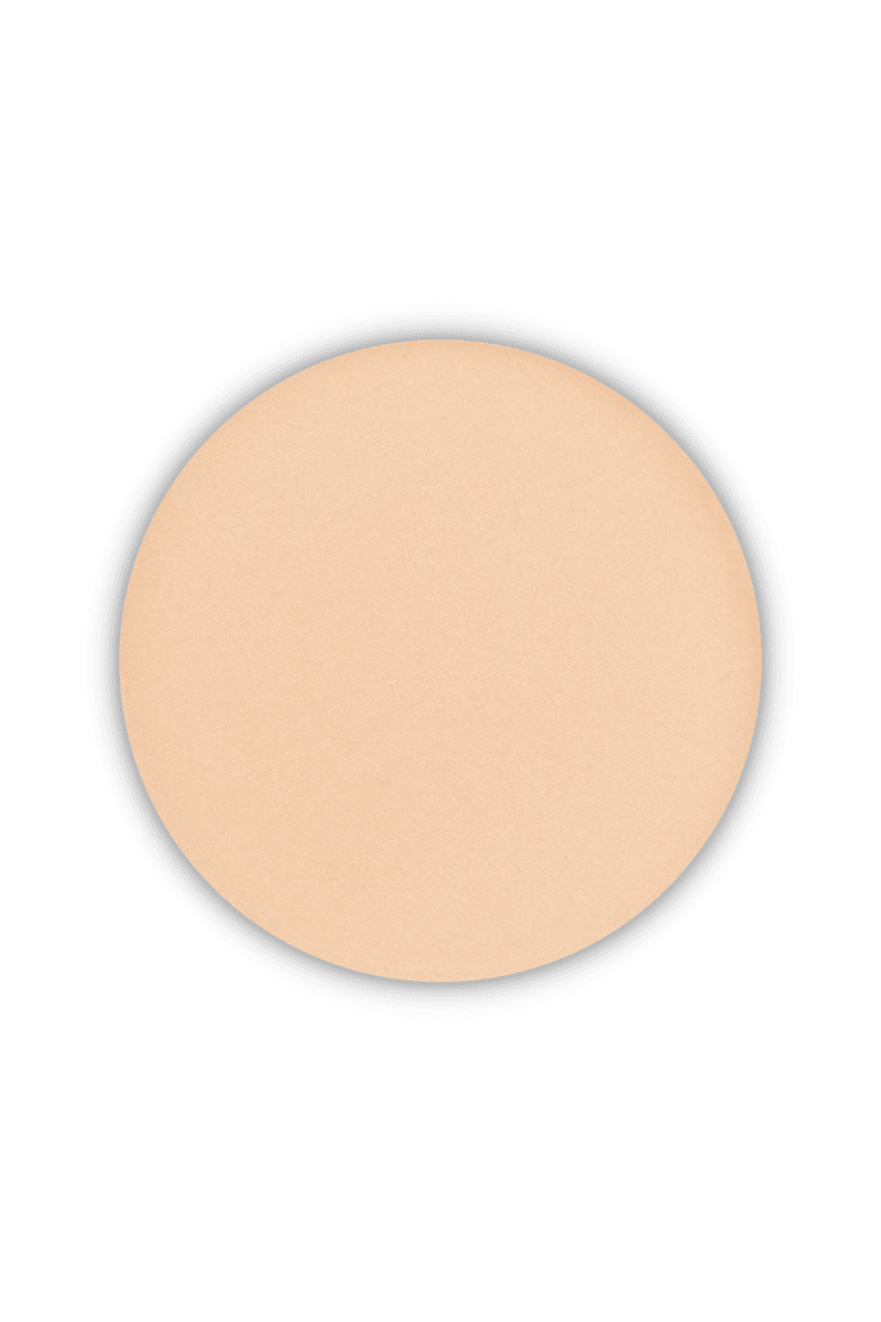 Pastel Beauty Filter Fixing Powder 01 11 g