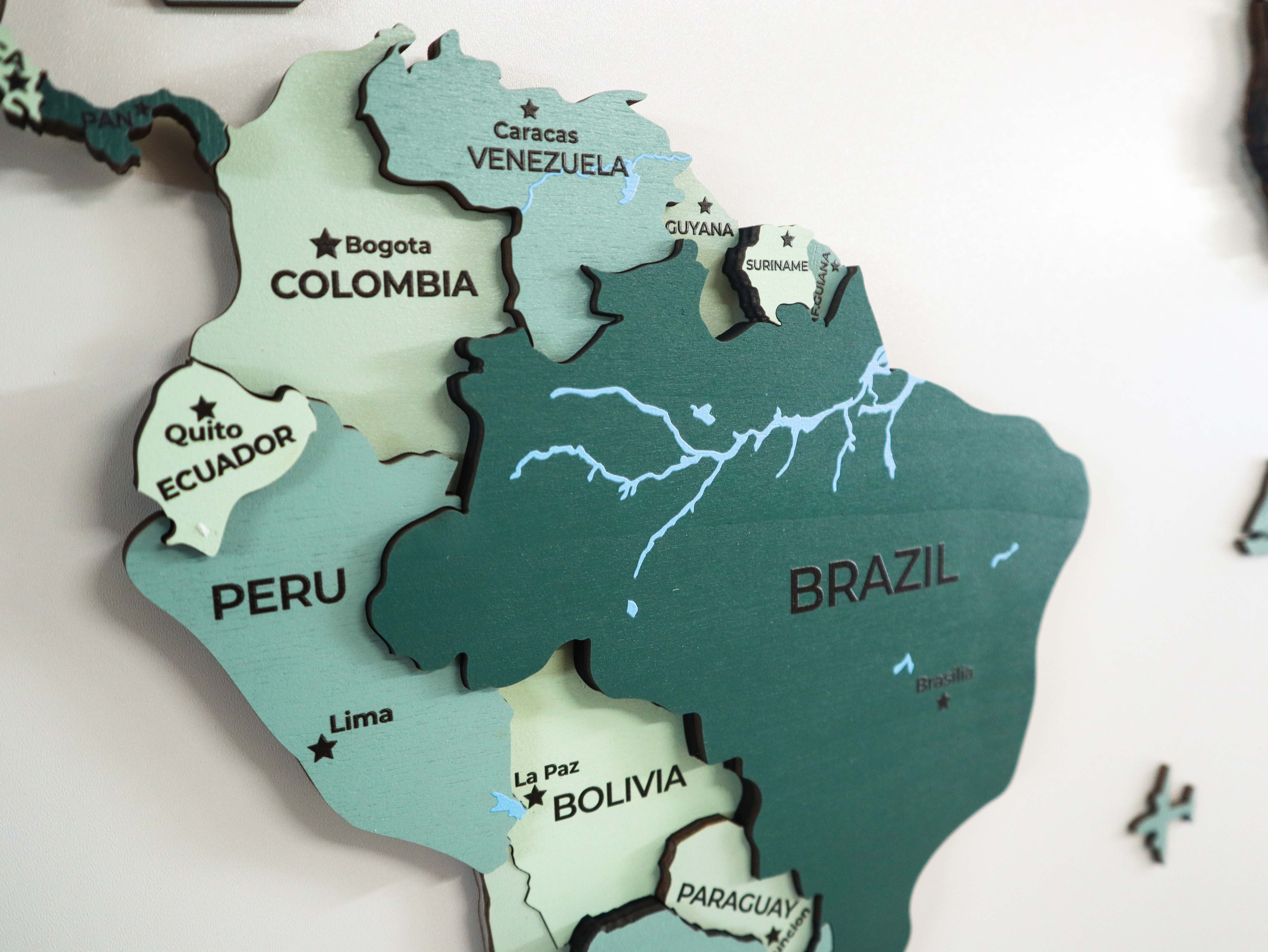 Salda Wooden World Map