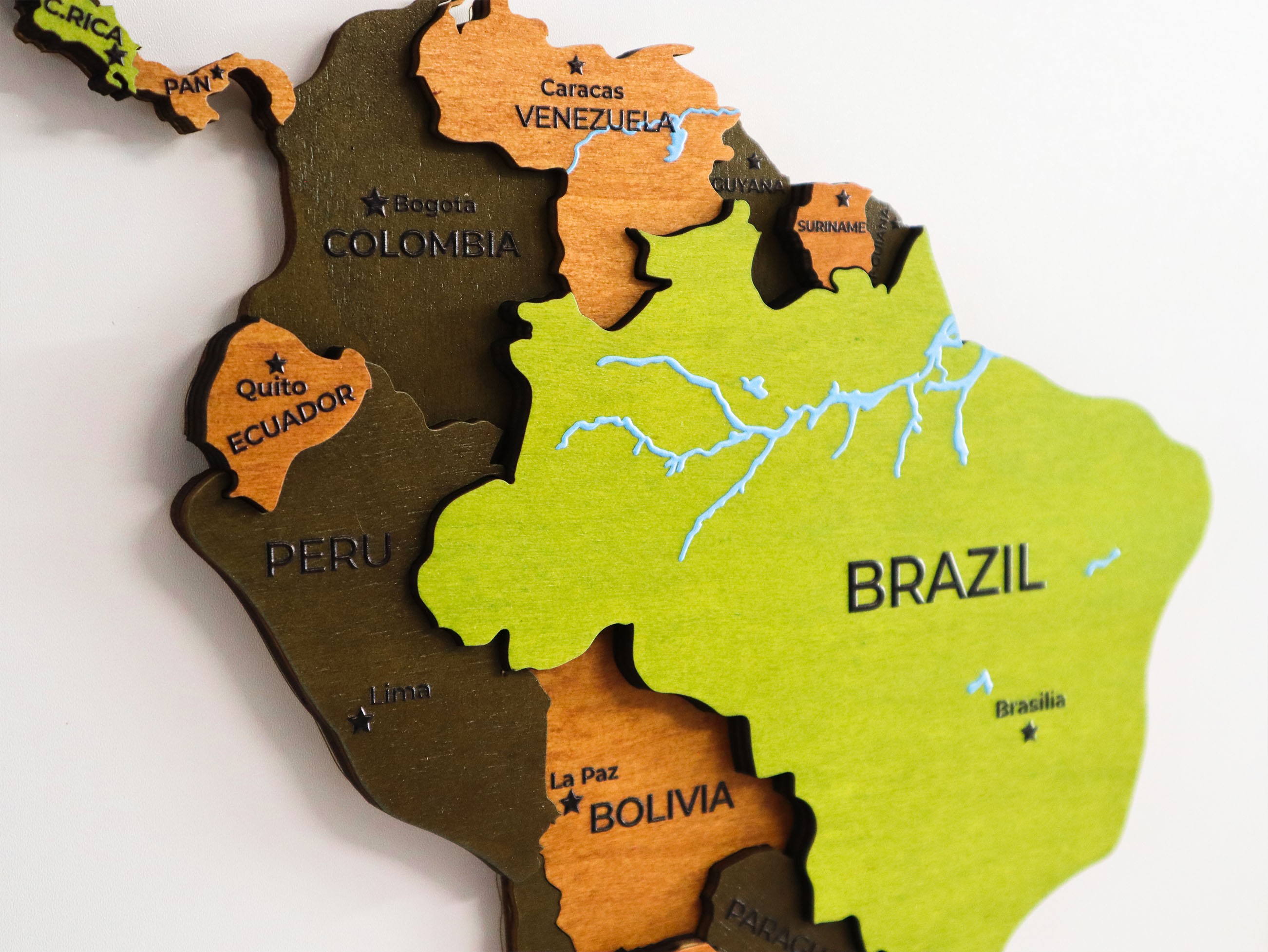 Olive Wooden World Map