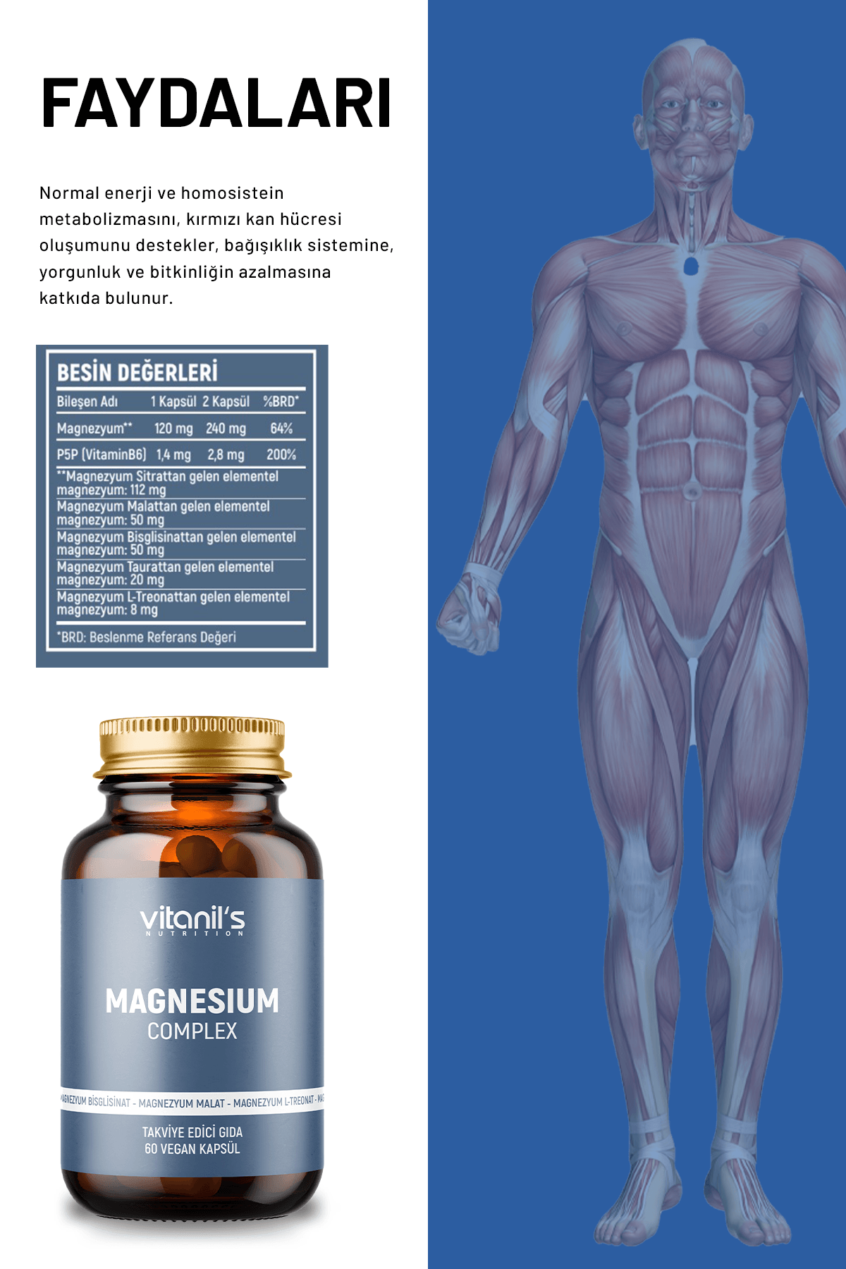 Magnezyum Complex (Magnesium Malat, Sitrat, Bisiglinat) 60 Kapsül 