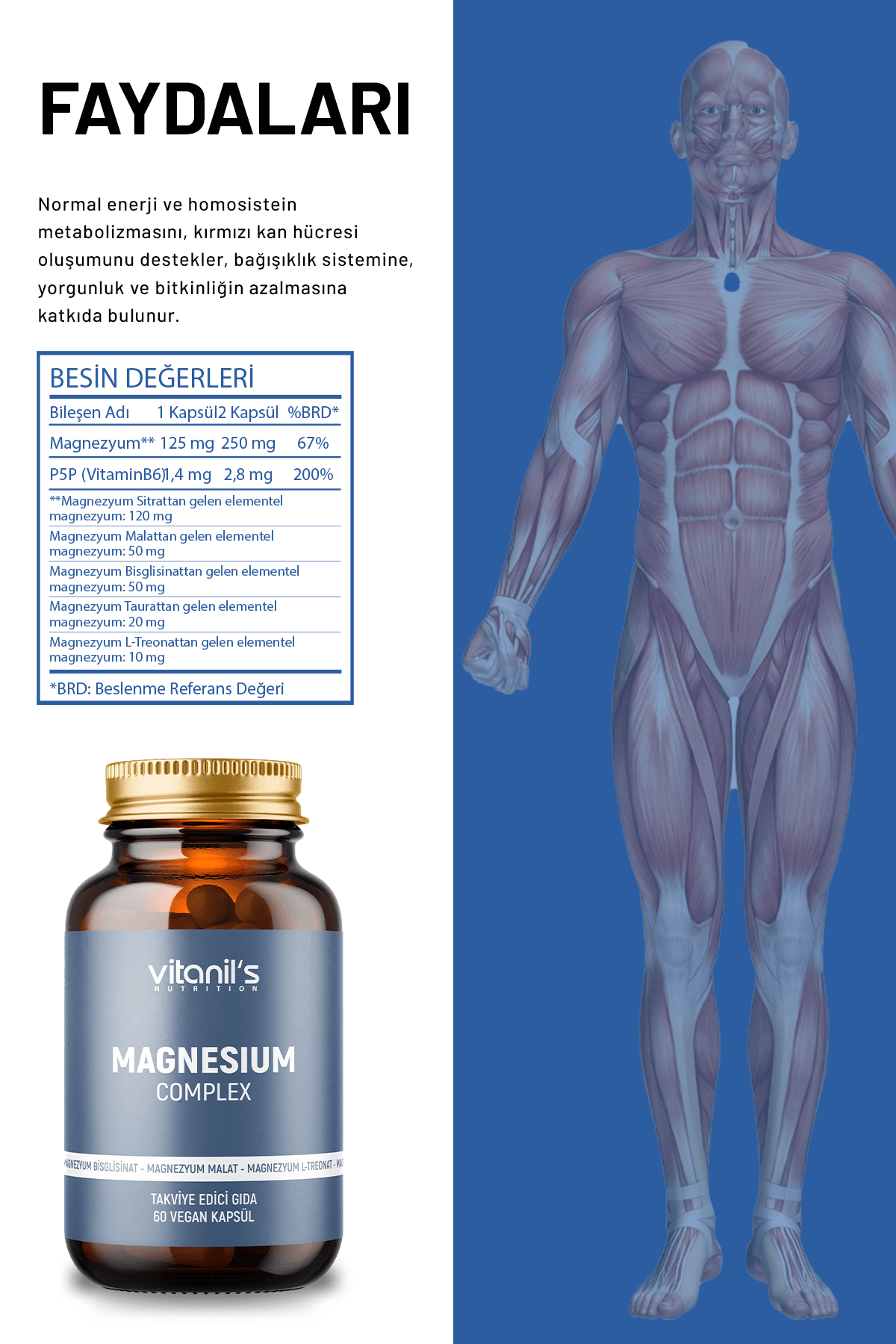 Magnezyum Complex (Magnesium Malat, Sitrat, Bisiglinat) 60 Kapsül 