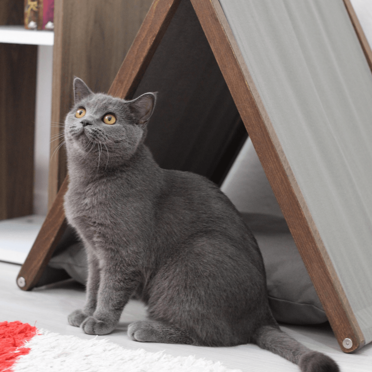 Ketu Cat House - Grey