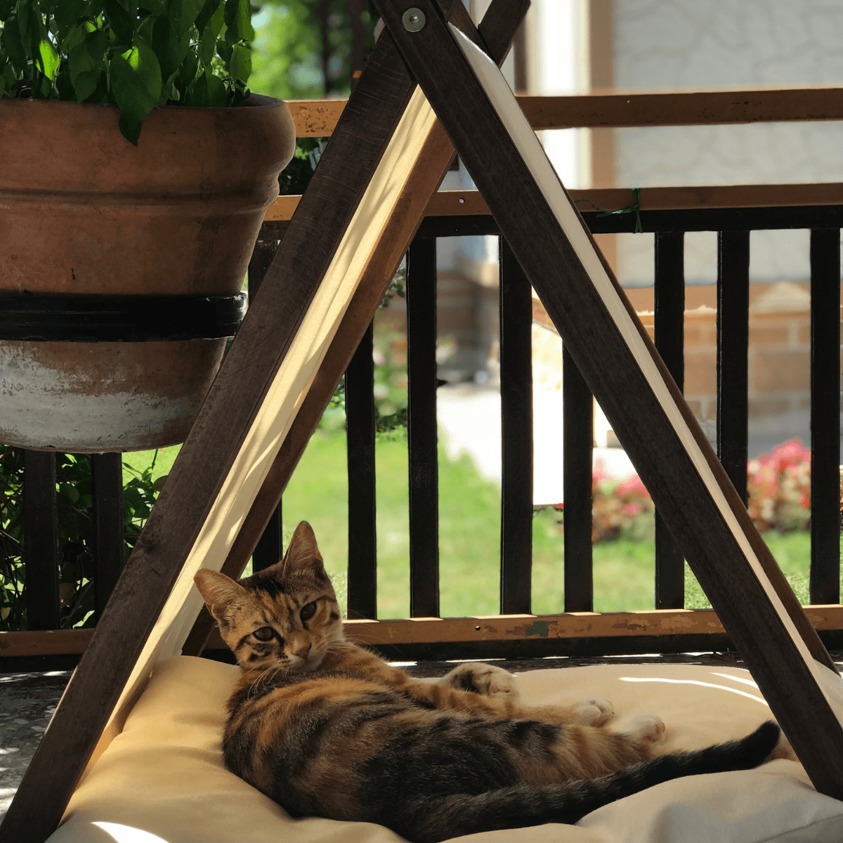 Ketu Kedi Evi - Bej