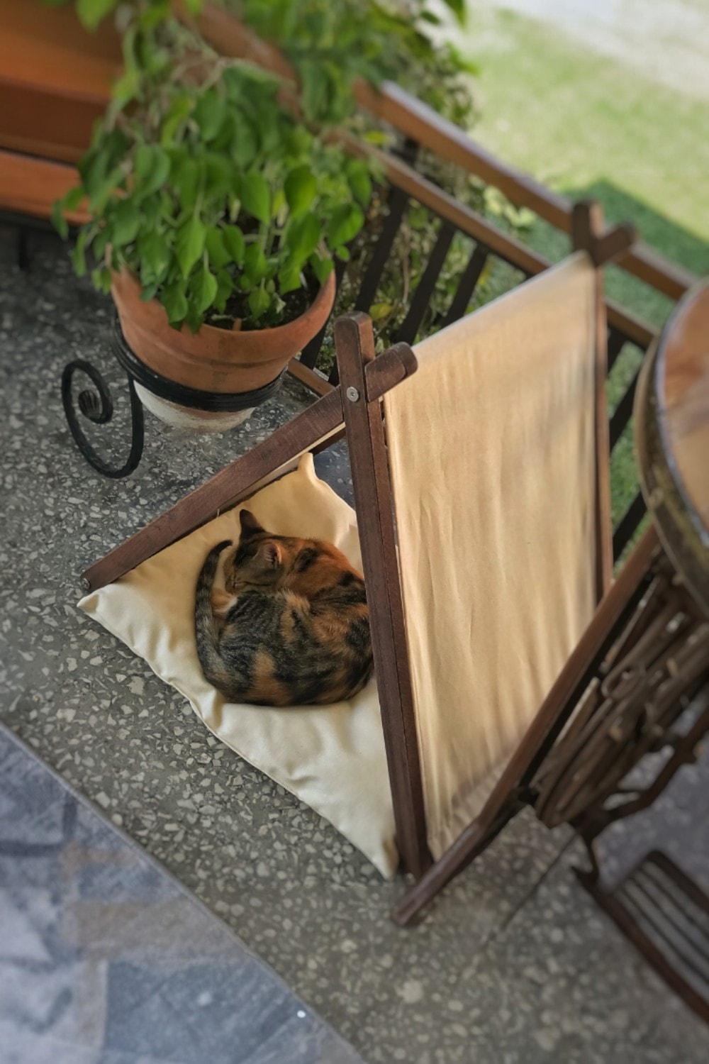 Ketu Kedi Evi - Bej