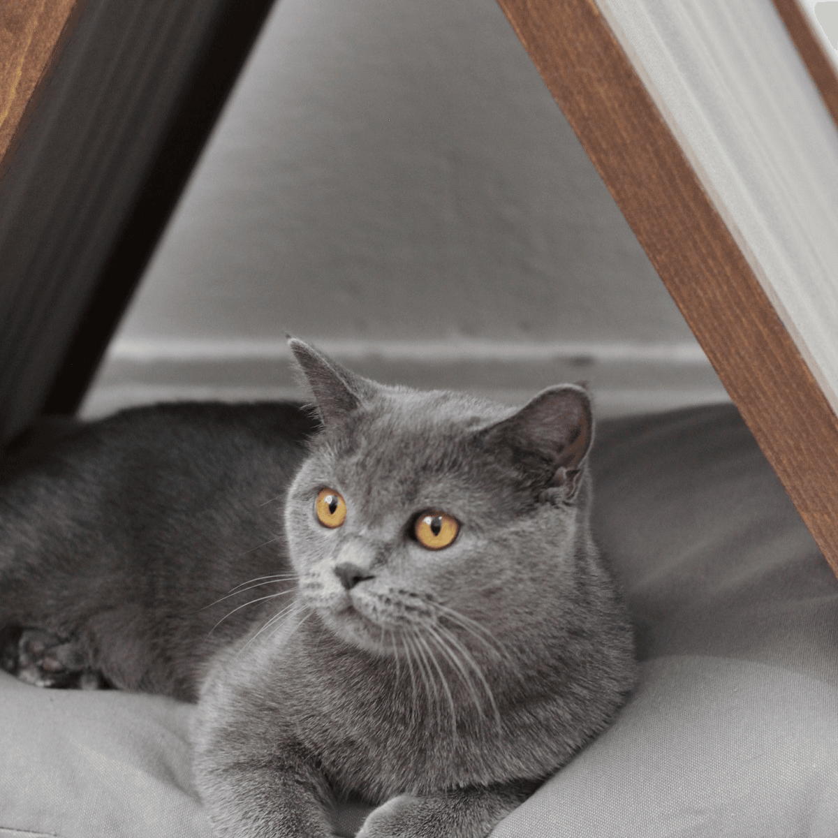 Ketu Cat House - Grey