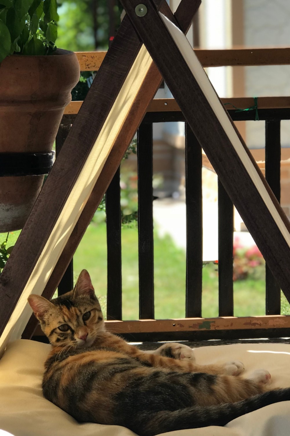 Ketu Kedi Evi - Bej