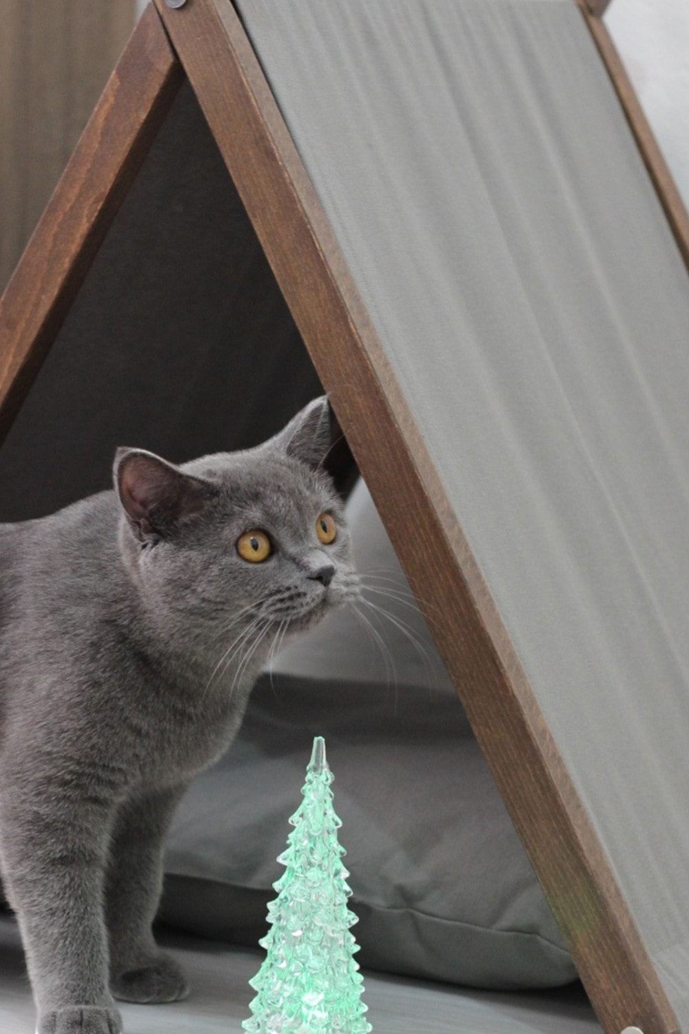 Ketu Kedi Evi - Gri