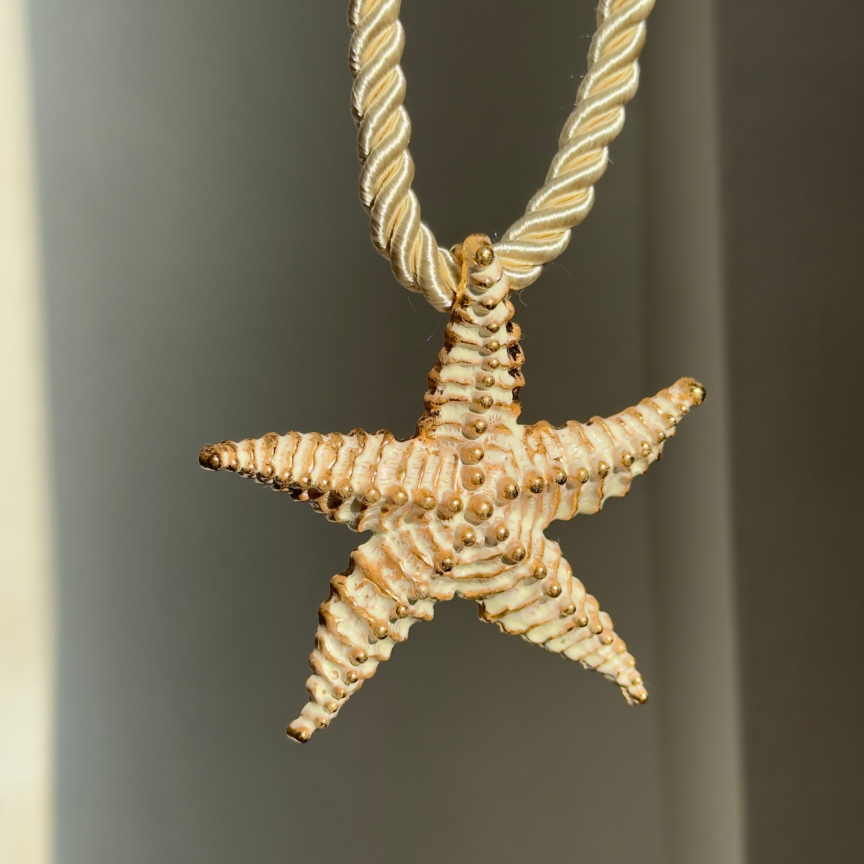 ZR Premium Summer Vibe Deniz Yıldızı Tasarım Kolye