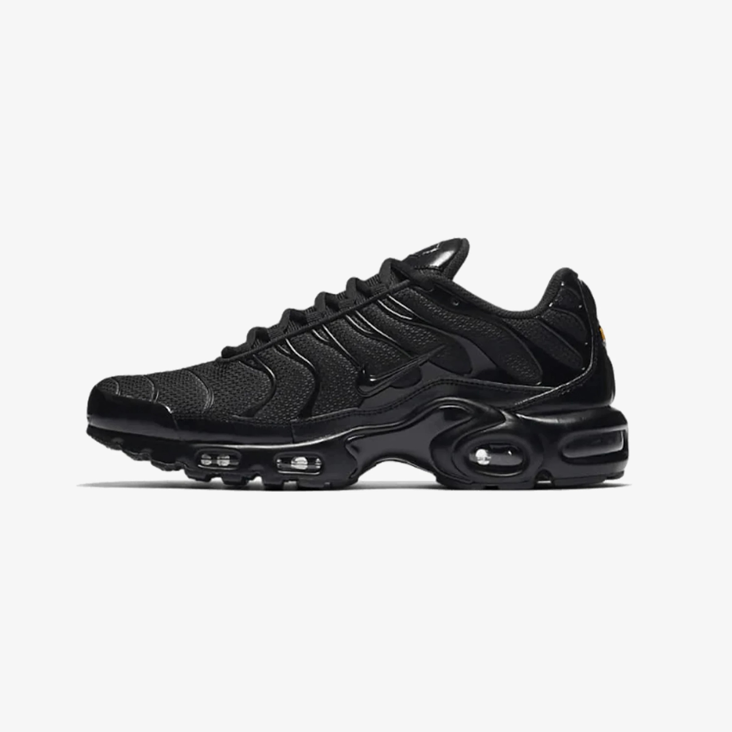 Air Max Tn Siyah