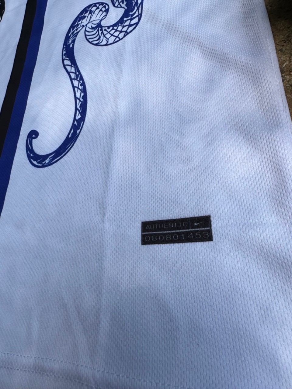 Inter Snake Outdoor Forma