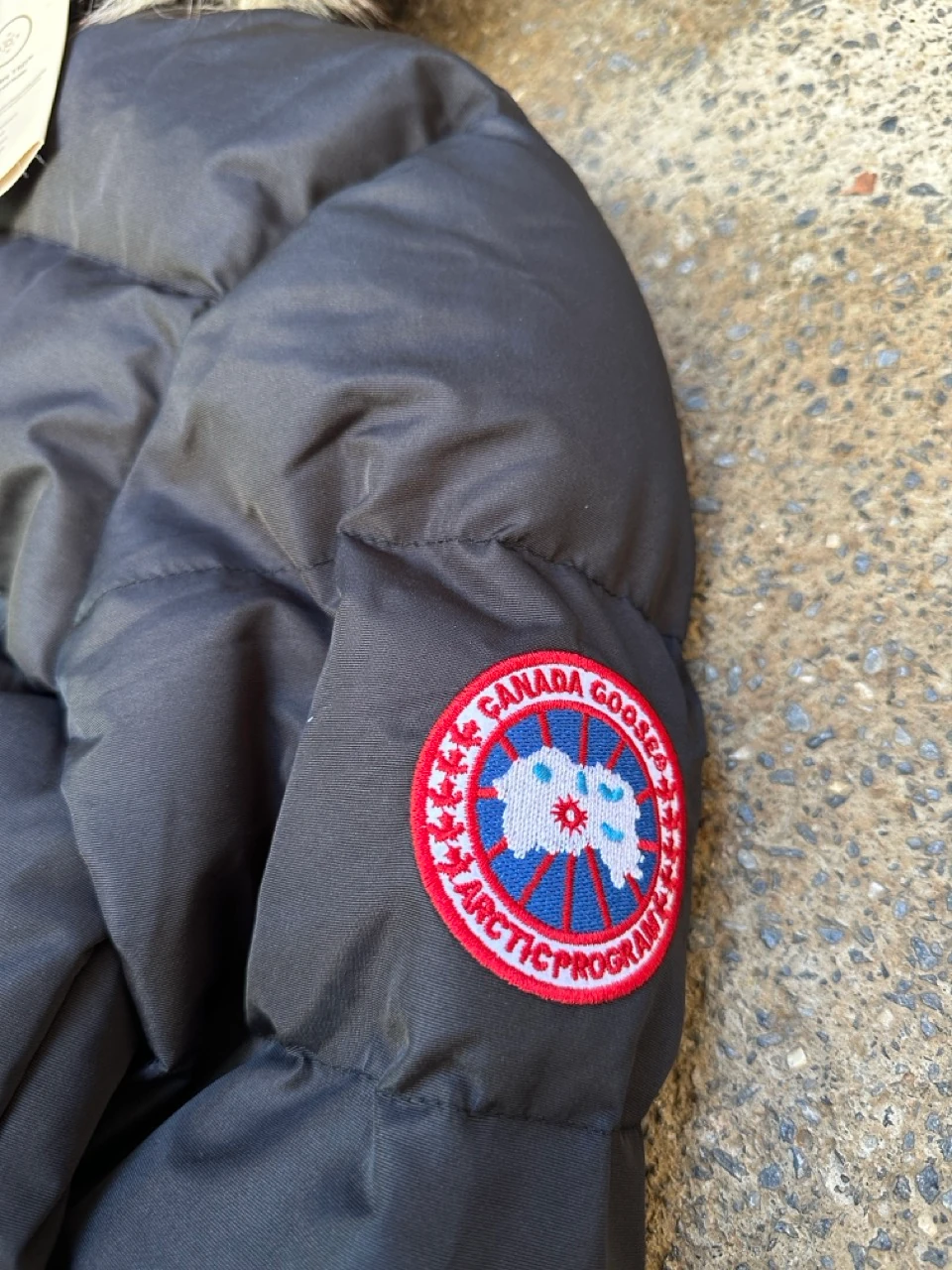 Canada Goose Lodge Erkek Mont