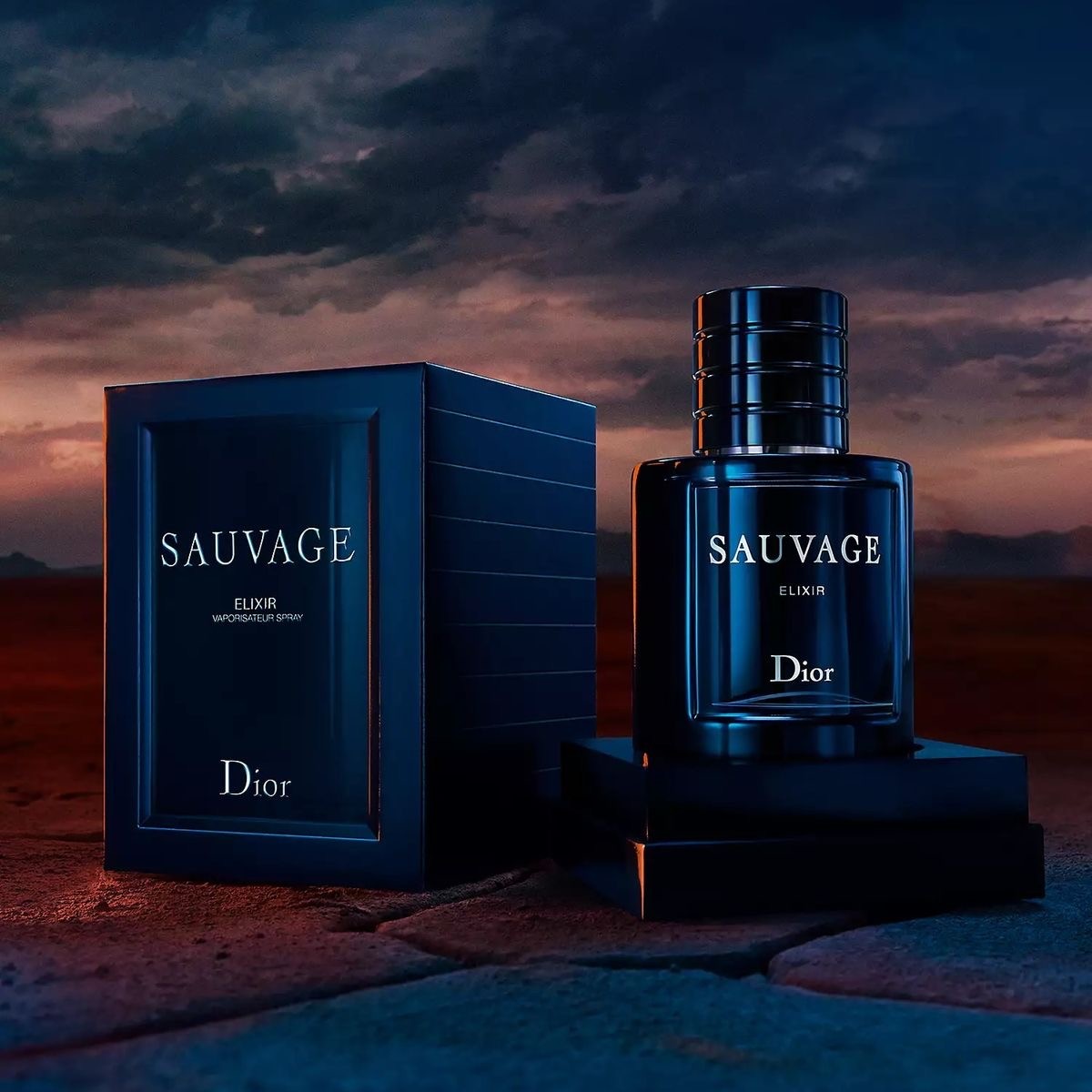 Sauvage Elixir Erkek Parfüm 60 ML