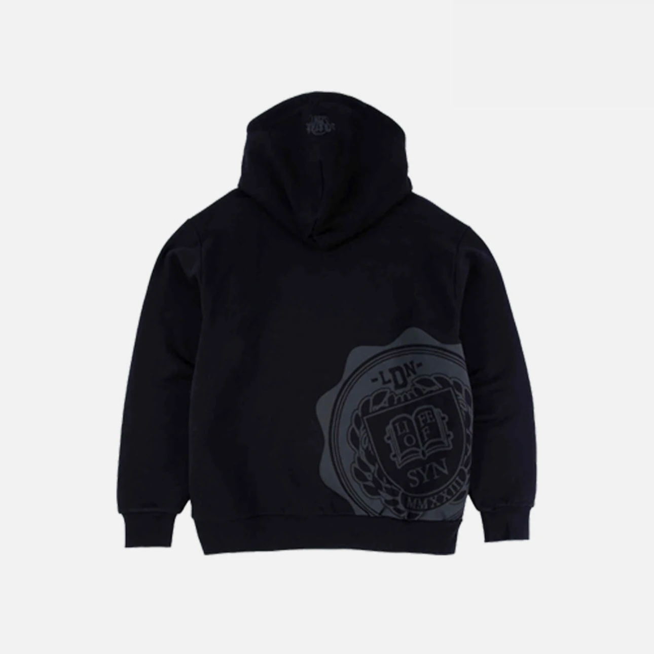 Syna World College Logo Hoodie