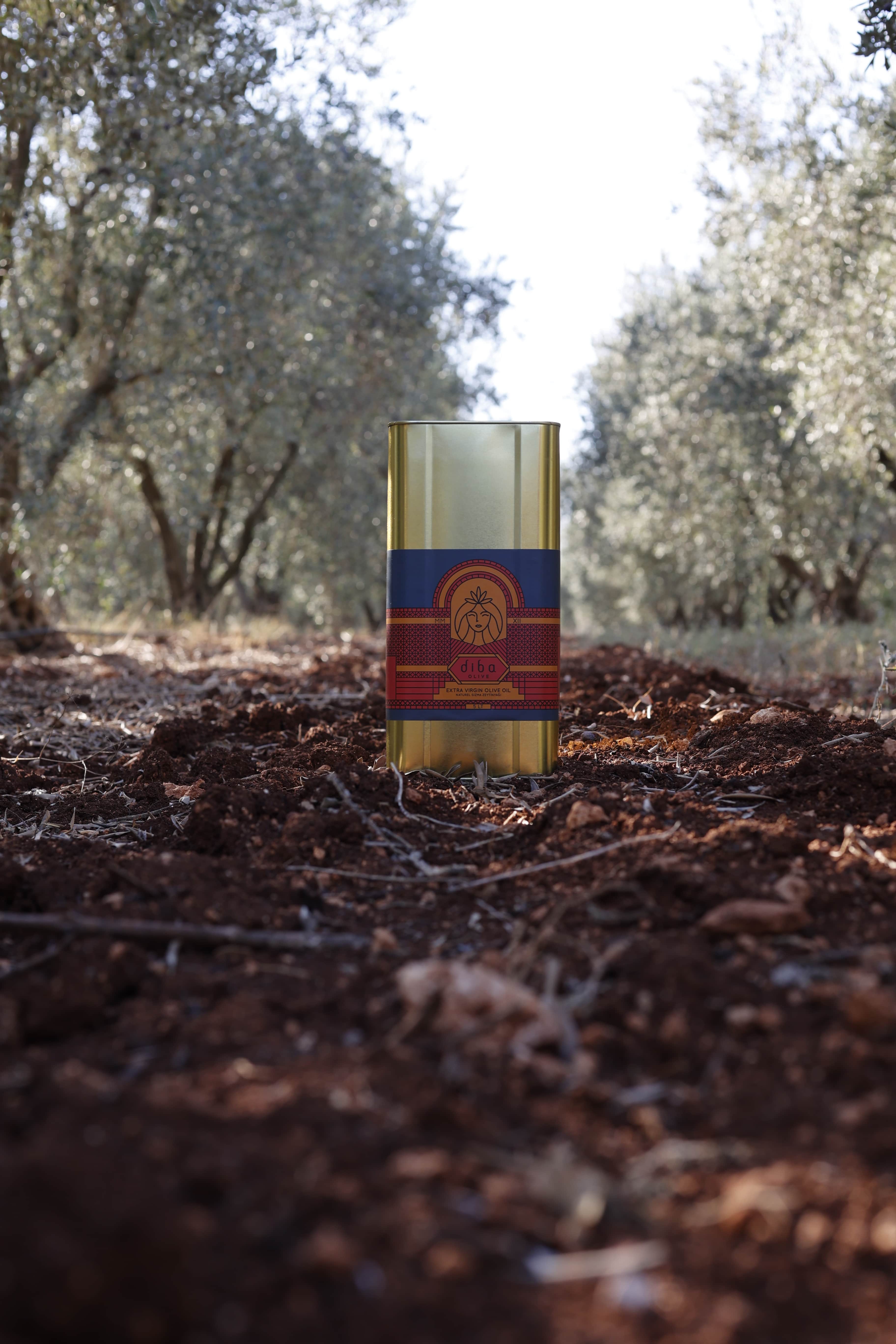  5 Lt Olgun Hasat Soğuk Sıkım Zeytinyağı