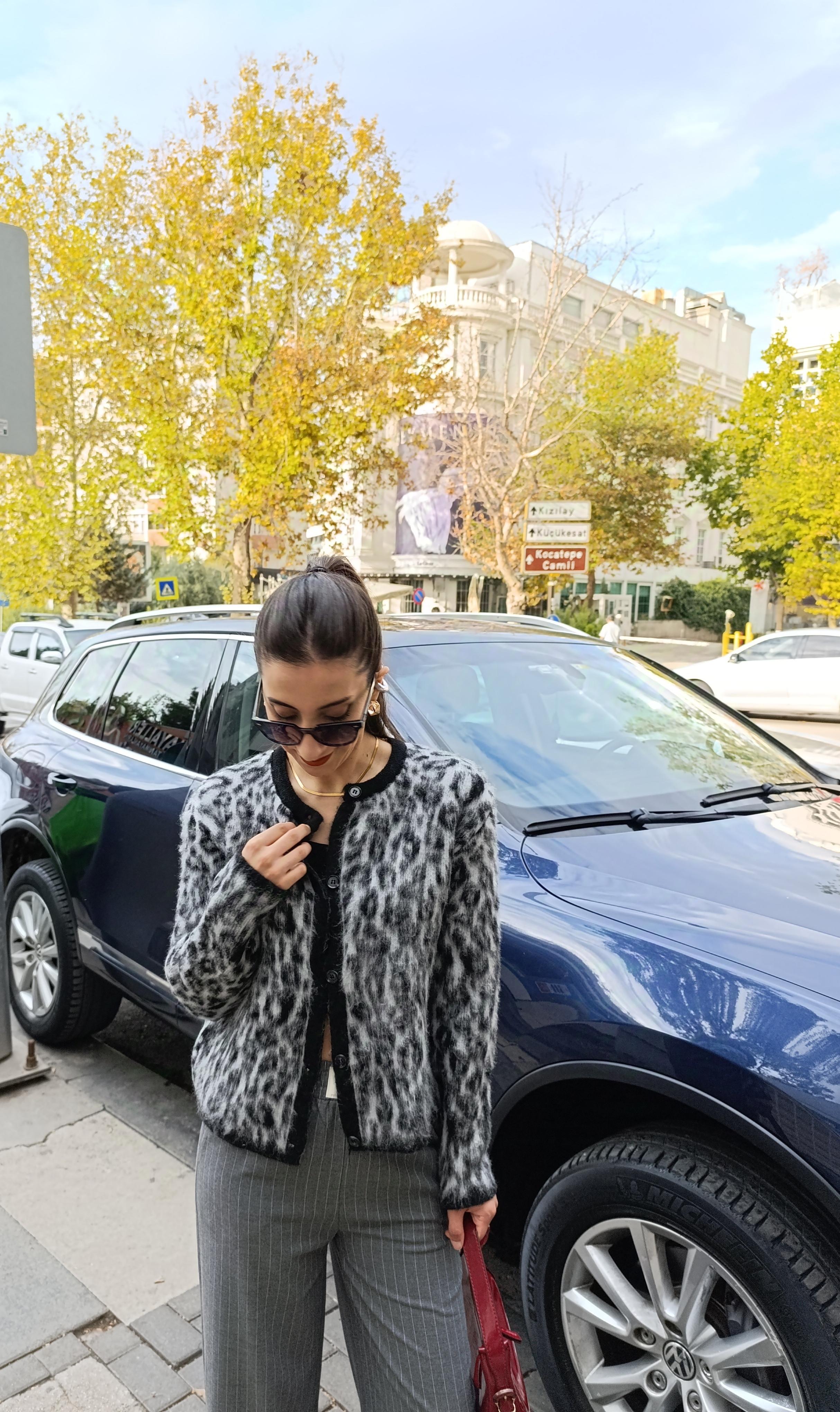 Yumuşak Dokulu Leopar Desen Hırka