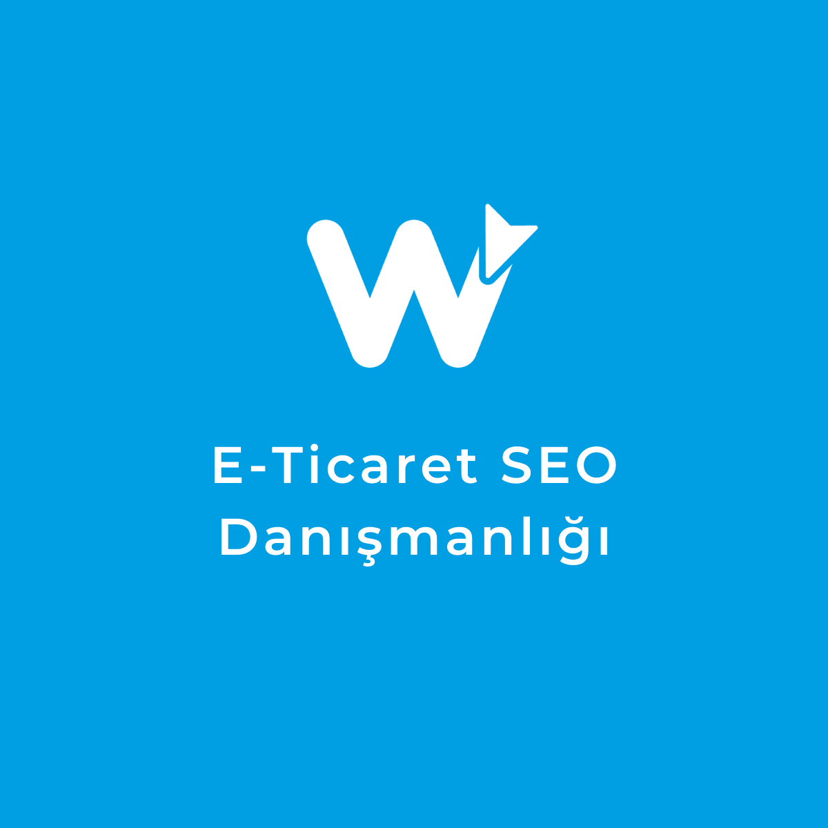 E-Ticaret SEO Danışmanlığı