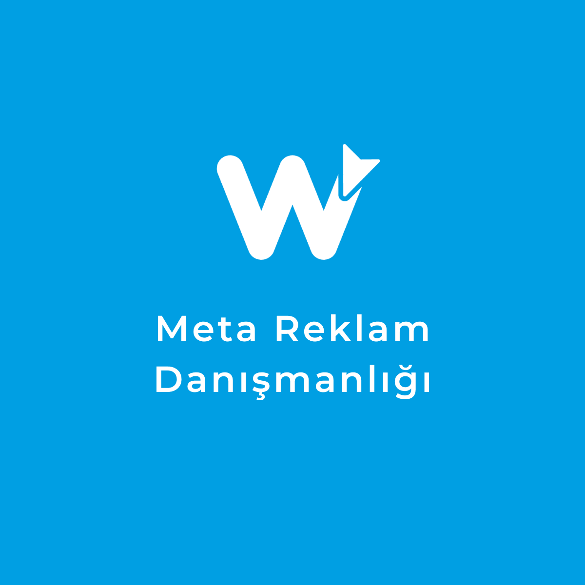 Meta Reklam Danışmanlığı