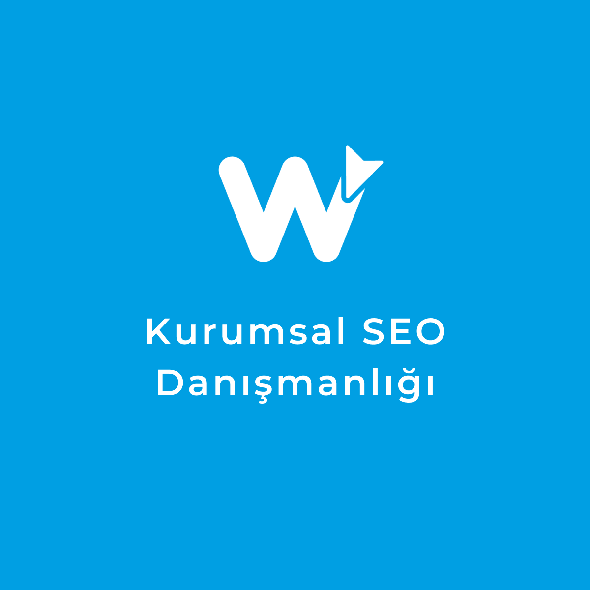 Kurumsal SEO Danışmanlığı