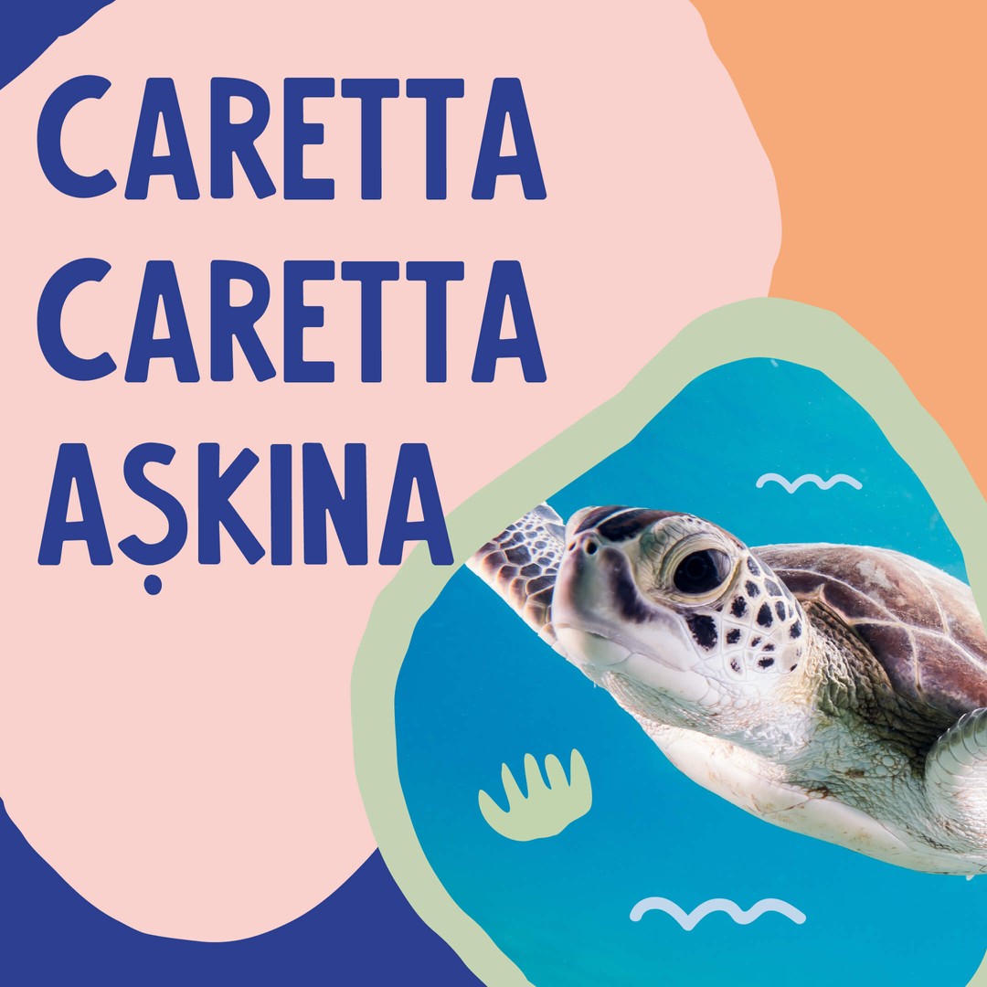 Lindos Naturals - Caretta Caretta Günü