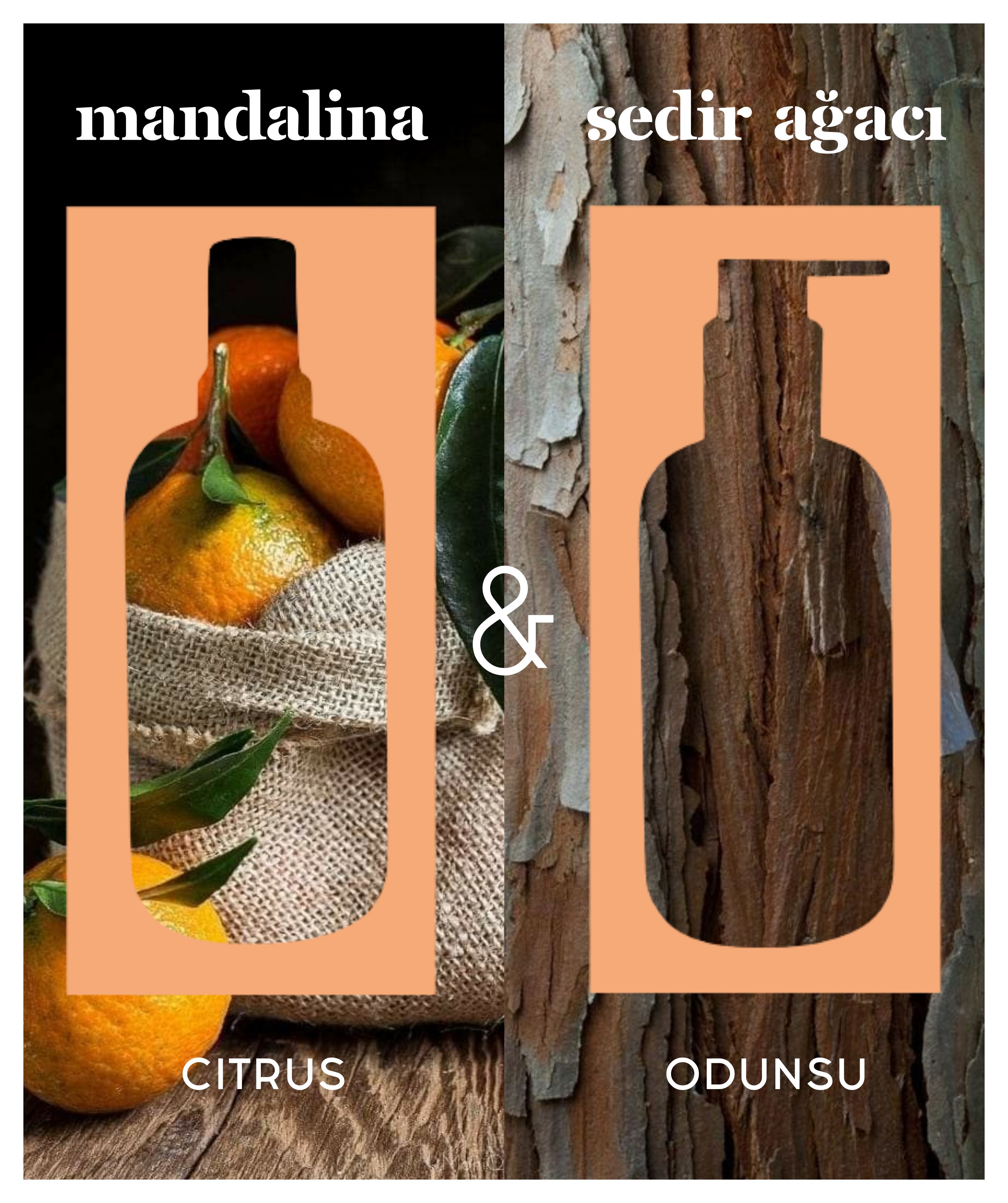 Aromaterapik Soya Mumu - Mandarin & Cedar