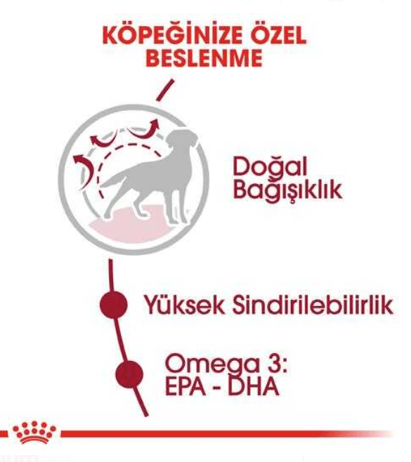 Royal Canin Medium Adult Orta Irk Yetişkin Köpek Maması 15 kg