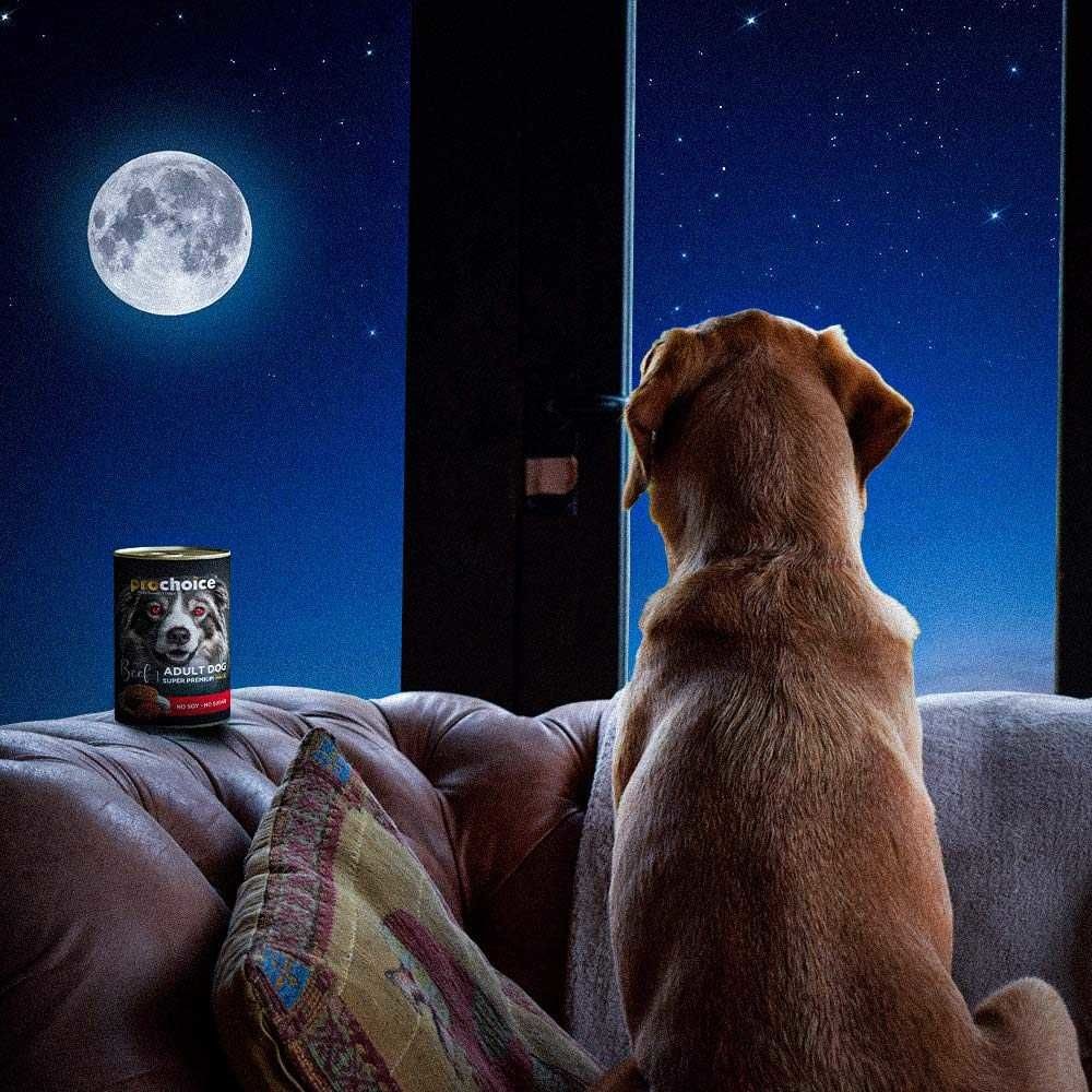 Prochoice Sığır Etli 400 gr Yetişkin Konserve Köpek Maması