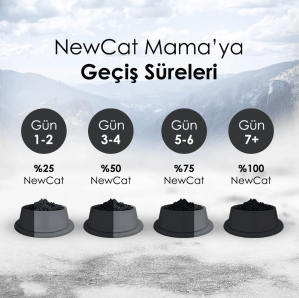 Newcat Tavuklu Yetişkin Kedi Maması 15 Kg