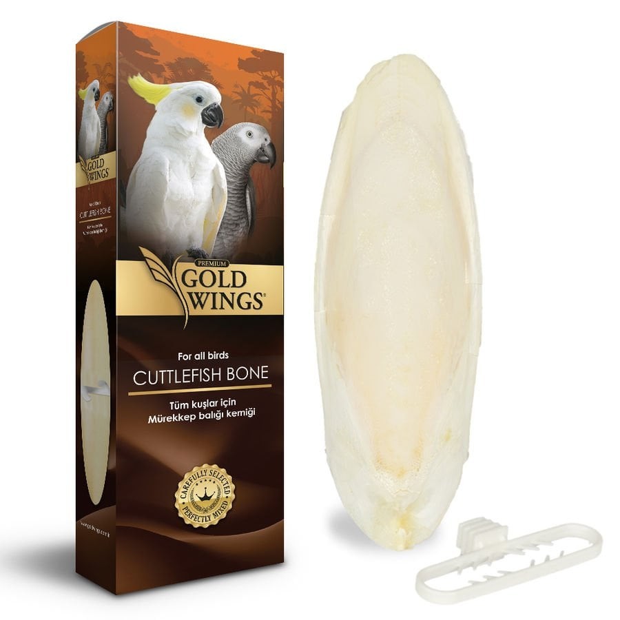Gold Wings Premium Büyük Mürekkep Balığı Kemiği (Kalamar)