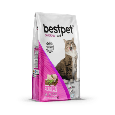 BESTPET CAT SELECTION CHICKEN ADULT 15 KG