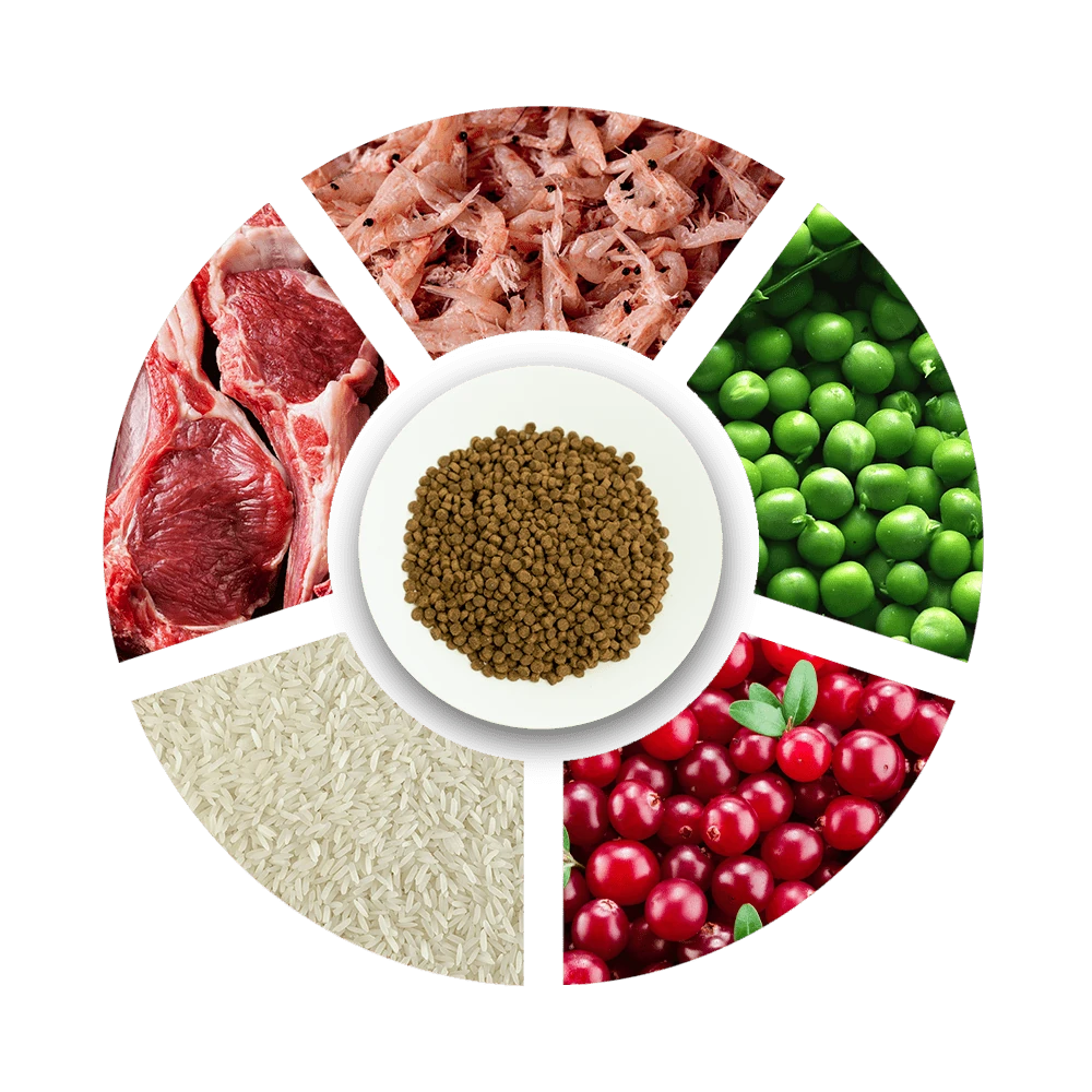 Prochoice Pro 38 Kitten Kuzu Eti ve Pirinçli Yavru Kedi Maması 15 kg