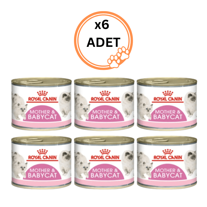 6 Adet Royal Canin Mother & BabyCat Anne&Yavru Kedi Konserve Maması 195 Gr x 6