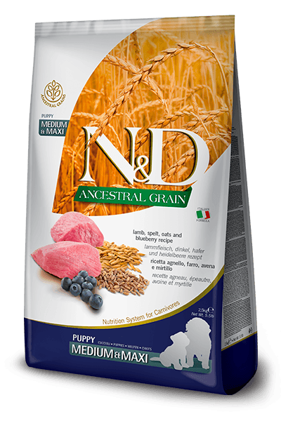 ND Ancestral Grain Kuzu Etli ve Yaban Mersinli Orta/Büyük Irk Yavru Köpek Maması 2.5 Kg