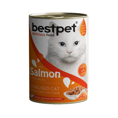 Bestpet Somonlu Kısırlaştırılmış Yetişkin Konserve Kedi Maması 400 gr