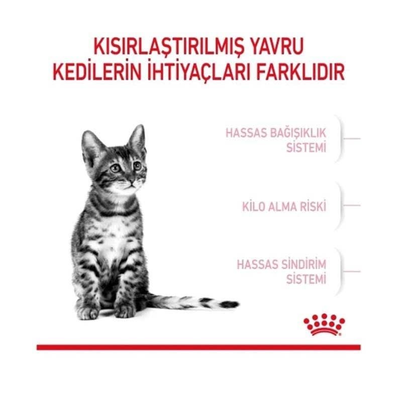 Royal Canin Kitten Sterilised Yavru Kısırlaştırılmış Kedi Maması 2 kg